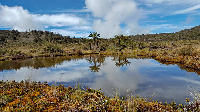 Small lake of Wilderness on the way to Angguruk