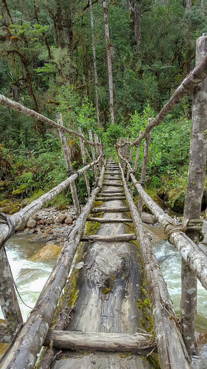 The tree bridge to get highest mountain to get the wilderness of the journey to Angguruk village and Kosarek village