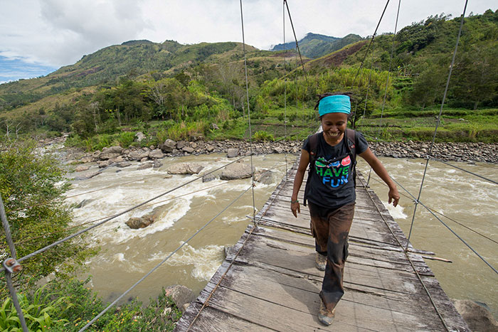 Hanging bridge Baliem Valley